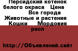 Персидский котенок белого окраса › Цена ­ 35 000 - Все города Животные и растения » Кошки   . Мордовия респ.